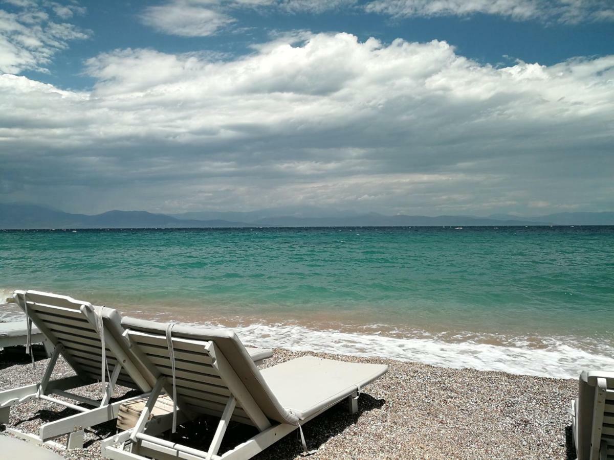 Angel'S Place By The Sea دياكوبتو المظهر الخارجي الصورة