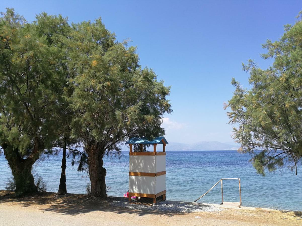 Angel'S Place By The Sea دياكوبتو المظهر الخارجي الصورة